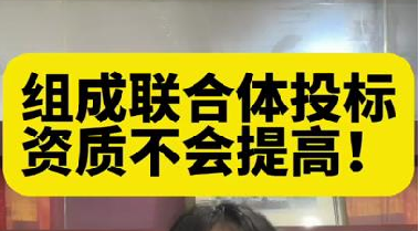 组成联合体投标资质不会提高